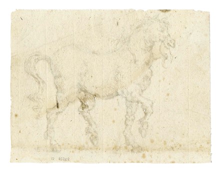  Scuola italiana del XVII secolo : Studio per cavallo al trotto.  - Asta Arte Antica, Moderna e Contemporanea [parte I] - Libreria Antiquaria Gonnelli - Casa d'Aste - Gonnelli Casa d'Aste