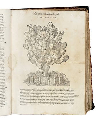  Mattioli Pietro Andrea : De i discorsi [...] Con le figure grandi... Botanica, Medicina  Pedanius Dioscorides  - Auction Libri, Autografi e Manoscritti - Libreria Antiquaria Gonnelli - Casa d'Aste - Gonnelli Casa d'Aste