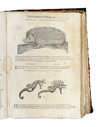  Mattioli Pietro Andrea : De i discorsi [...] Con le figure grandi... Botanica, Medicina  Pedanius Dioscorides  - Auction Libri, Autografi e Manoscritti - Libreria Antiquaria Gonnelli - Casa d'Aste - Gonnelli Casa d'Aste