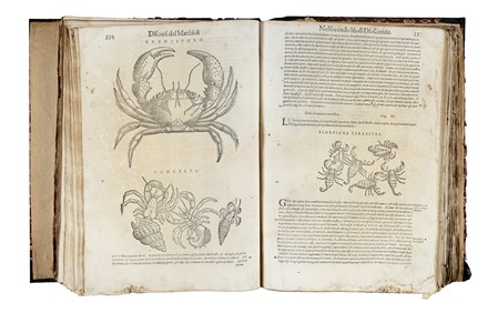  Mattioli Pietro Andrea : De i discorsi [...] Con le figure grandi... Botanica, Medicina  Pedanius Dioscorides  - Auction Libri, Autografi e Manoscritti - Libreria Antiquaria Gonnelli - Casa d'Aste - Gonnelli Casa d'Aste