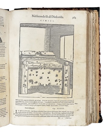  Mattioli Pietro Andrea : De i discorsi [...] Con le figure grandi... Botanica, Medicina  Pedanius Dioscorides  - Auction Libri, Autografi e Manoscritti - Libreria Antiquaria Gonnelli - Casa d'Aste - Gonnelli Casa d'Aste