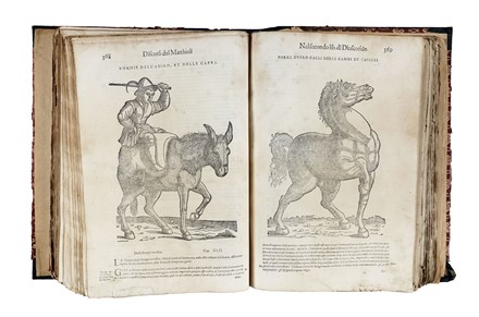  Mattioli Pietro Andrea : De i discorsi [...] Con le figure grandi... Botanica, Medicina  Pedanius Dioscorides  - Auction Libri, Autografi e Manoscritti - Libreria Antiquaria Gonnelli - Casa d'Aste - Gonnelli Casa d'Aste