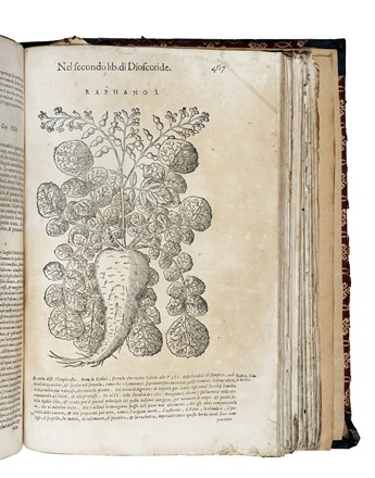  Mattioli Pietro Andrea : De i discorsi [...] Con le figure grandi... Botanica, Medicina  Pedanius Dioscorides  - Auction Libri, Autografi e Manoscritti - Libreria Antiquaria Gonnelli - Casa d'Aste - Gonnelli Casa d'Aste