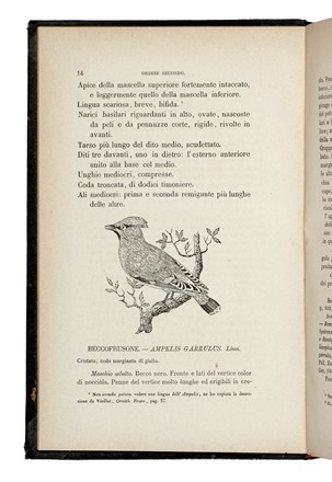  Savi Paolo : Ornitologia italiana: opera postuma.  - Asta Libri, Autografi e Manoscritti - Libreria Antiquaria Gonnelli - Casa d'Aste - Gonnelli Casa d'Aste