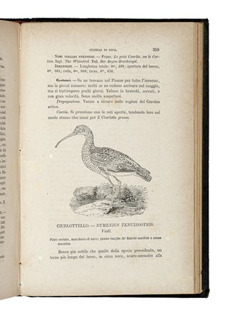  Savi Paolo : Ornitologia italiana: opera postuma.  - Asta Libri, Autografi e Manoscritti - Libreria Antiquaria Gonnelli - Casa d'Aste - Gonnelli Casa d'Aste