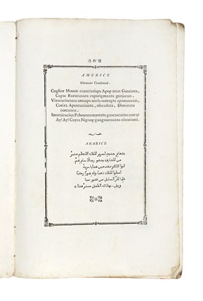 Mariae Adelaidi et Victoriae Mariae serenissimis Regni Galliarum principibus [...] quod Propagandae Fidei Collegium praesentia sua honestaverint [...] et typographiam [...] laudaverint...  - Asta Libri, Autografi e Manoscritti - Libreria Antiquaria Gonnelli - Casa d'Aste - Gonnelli Casa d'Aste