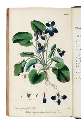  Martyn Thomas : Thirty-eight plates, with explanations... Botanica  - Auction Libri, Autografi e Manoscritti - Libreria Antiquaria Gonnelli - Casa d'Aste - Gonnelli Casa d'Aste