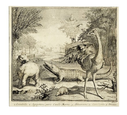  Autori vari : Lotto composto di 25 incisioni a tema animali e scene di caccia.  - Asta Arte Antica, Moderna e Contemporanea - Libreria Antiquaria Gonnelli - Casa d'Aste - Gonnelli Casa d'Aste