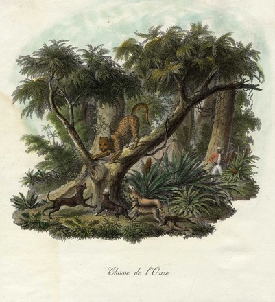  Autori vari : Lotto composto di 25 incisioni a tema animali e scene di caccia.  - Asta Arte Antica, Moderna e Contemporanea - Libreria Antiquaria Gonnelli - Casa d'Aste - Gonnelli Casa d'Aste