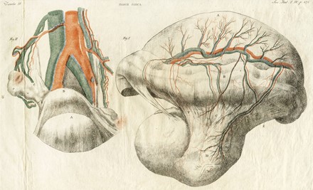 Dodici tavole da Memorie di Matematica e Fisica della Societ� Italiana [delle Scienze].  - Asta Arte Antica, Moderna e Contemporanea - Libreria Antiquaria Gonnelli - Casa d'Aste - Gonnelli Casa d'Aste