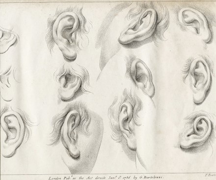 Dodici tavole da Memorie di Matematica e Fisica della Societ� Italiana [delle Scienze].  - Asta Arte Antica, Moderna e Contemporanea - Libreria Antiquaria Gonnelli - Casa d'Aste - Gonnelli Casa d'Aste