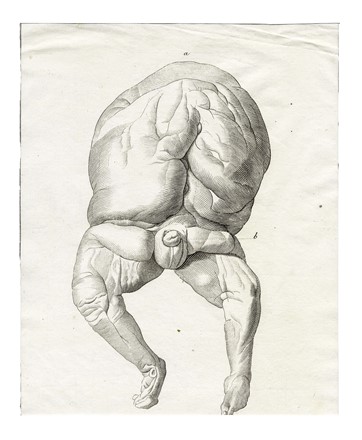 Dodici tavole da Memorie di Matematica e Fisica della Societ� Italiana [delle Scienze].  - Asta Arte Antica, Moderna e Contemporanea - Libreria Antiquaria Gonnelli - Casa d'Aste - Gonnelli Casa d'Aste