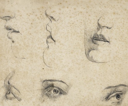 Dodici tavole da Memorie di Matematica e Fisica della Societ� Italiana [delle Scienze].  - Asta Arte Antica, Moderna e Contemporanea - Libreria Antiquaria Gonnelli - Casa d'Aste - Gonnelli Casa d'Aste