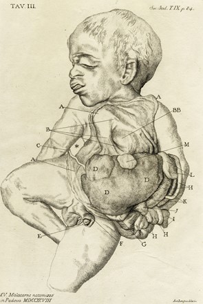 Dodici tavole da Memorie di Matematica e Fisica della Societ� Italiana [delle Scienze].  - Asta Arte Antica, Moderna e Contemporanea - Libreria Antiquaria Gonnelli - Casa d'Aste - Gonnelli Casa d'Aste