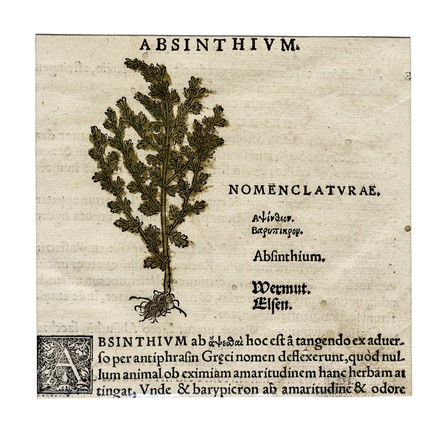  Autori vari : Lotto composto di 13 incisioni a tema botanico.  - Asta Arte Antica, Moderna e Contemporanea - Libreria Antiquaria Gonnelli - Casa d'Aste - Gonnelli Casa d'Aste