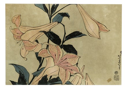  Autori vari : Lotto composto di 13 incisioni a tema botanico.  - Asta Arte Antica, Moderna e Contemporanea - Libreria Antiquaria Gonnelli - Casa d'Aste - Gonnelli Casa d'Aste