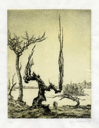  Autori vari : Lotto composto di 8 incisioni.  Bruno Goldschmidt  (1881 - 1964), Amadeus Erhard Dier  (Vienna, 1893 - Klosterneuburg, 1969), Maximilian Dasio  (1865 - 1954), Albert Welti  (Zurigo, 1862 - Berna, 1912)  - Asta Arte Antica, Moderna e Contemporanea - Libreria Antiquaria Gonnelli - Casa d'Aste - Gonnelli Casa d'Aste