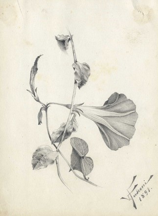  Autori vari : Lotto composto di 12 disegni.  Giacinto Gigante  (Napoli, 1804 - Napoli, 1876)  - Asta Arte Antica, Moderna e Contemporanea - Libreria Antiquaria Gonnelli - Casa d'Aste - Gonnelli Casa d'Aste