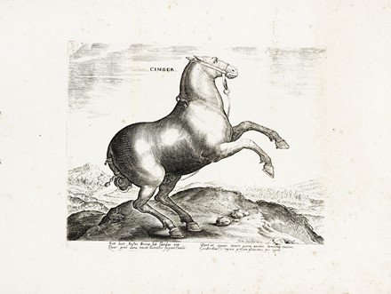  Jan Van der Straet (detto Stradano)  (Bruges, 1523 - Firenze, 1605) [da] : Quindici tavole da Equile, in quo omnis generis generosissimorum equorum ex variis orbis partibus insignis delectus.  - Asta Arte Antica, Moderna e Contemporanea - Libreria Antiquaria Gonnelli - Casa d'Aste - Gonnelli Casa d'Aste