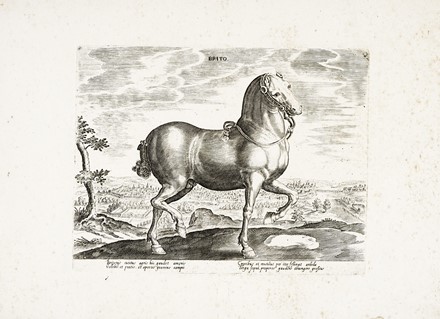  Jan Van der Straet (detto Stradano)  (Bruges, 1523 - Firenze, 1605) [da] : Quindici tavole da Equile, in quo omnis generis generosissimorum equorum ex variis orbis partibus insignis delectus.  - Asta Arte Antica, Moderna e Contemporanea - Libreria Antiquaria Gonnelli - Casa d'Aste - Gonnelli Casa d'Aste