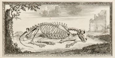  Cheselden William : Osteographia, or The anatomy of the bones.  - Asta Libri, Manoscritti e Autografi - Libreria Antiquaria Gonnelli - Casa d'Aste - Gonnelli Casa d'Aste