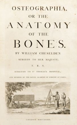  Cheselden William : Osteographia, or The anatomy of the bones.  - Asta Libri, Manoscritti e Autografi - Libreria Antiquaria Gonnelli - Casa d'Aste - Gonnelli Casa d'Aste