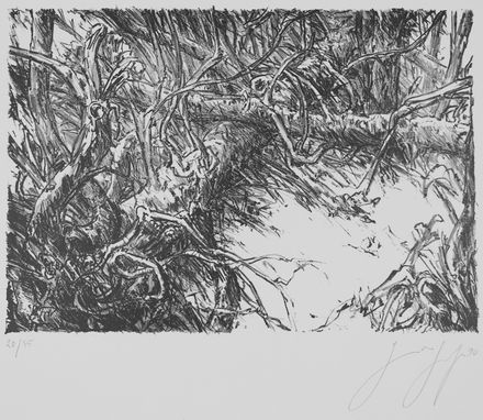  Gnter Grass  (Danzica, 1927 - Lubecca, 2015) : Kahlschlag in unseren Köpfen.  - Auction Prints and Drawings - Libreria Antiquaria Gonnelli - Casa d'Aste - Gonnelli Casa d'Aste