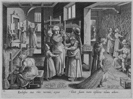 Jan Van der Straet (detto Stradano)  (Bruges, 1523 - Firenze, 1605) [da] : Vermis sericus.  Karel de Mallery, Philips Galle  (Haarlem, 1537 - Anversa, 1612)  - Auction Prints and Drawings - Libreria Antiquaria Gonnelli - Casa d'Aste - Gonnelli Casa d'Aste