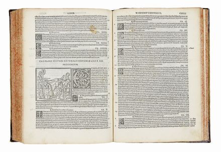  Plinius Secundus Gaius : Naturalis historie libri xxxvii. e castigationibus Hermolai Barbari, ac codicis in alemania impressi quam emendatissime editi... Letteratura classica, Storia, Classici, Scienze naturali, Letteratura, Storia, Diritto e Politica, Letteratura  Ermolao Barbaro, Johannes Camers  - Auction BOOKS, MANUSCRIPTS AND AUTOGRAPHS - Libreria Antiquaria Gonnelli - Casa d'Aste - Gonnelli Casa d'Aste