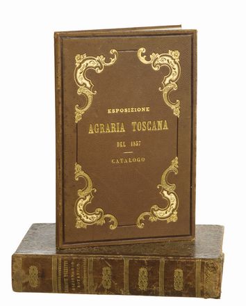  Targioni Tozzetti Ottaviano : Dizionario botanico italiano che comprende i nomi volgari italiani specialmente toscani e vernacoli delle piante raccolti da diversi autori e dalla gente di campagna...  - Asta Libri, Manoscritti e Autografi - Libreria Antiquaria Gonnelli - Casa d'Aste - Gonnelli Casa d'Aste