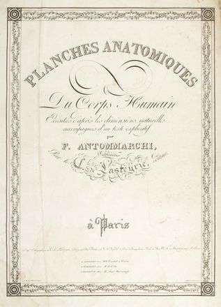  Antonmarchi Francesco : Planches anatomiques du corps humain excutes d'aprs les dimensions naturelles... Medicina, Anatomia, Medicina  Paolo Mascagni  - Auction BOOKS, MANUSCRIPTS AND AUTOGRAPHS - Libreria Antiquaria Gonnelli - Casa d'Aste - Gonnelli Casa d'Aste