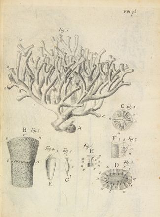  Donati Vitaliano : Essai sur l'histoire naturelle de la mer Adriatique [...] avec une lettre du Docteur Leonard Sesler sur une nouvelle espece de plante terrestre...  Leonard Sesler, Johann Francq van Berkhey (Le)  - Asta Manoscritti, Incunaboli, Autografi e Libri a stampa - Libreria Antiquaria Gonnelli - Casa d'Aste - Gonnelli Casa d'Aste