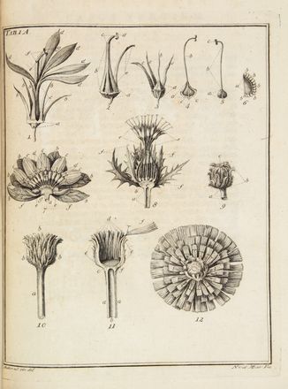  Donati Vitaliano : Essai sur l'histoire naturelle de la mer Adriatique [...] avec une lettre du Docteur Leonard Sesler sur une nouvelle espece de plante terrestre...  Leonard Sesler, Johann Francq van Berkhey (Le)  - Asta Manoscritti, Incunaboli, Autografi e Libri a stampa - Libreria Antiquaria Gonnelli - Casa d'Aste - Gonnelli Casa d'Aste