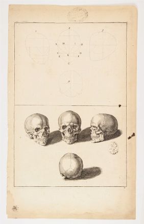  French school, 18th century : Due tavole anatomiche con a) Cranio; b) Due Scheletri.  - Auction Prints, Drawings, Maps and Views - Libreria Antiquaria Gonnelli - Casa d'Aste - Gonnelli Casa d'Aste