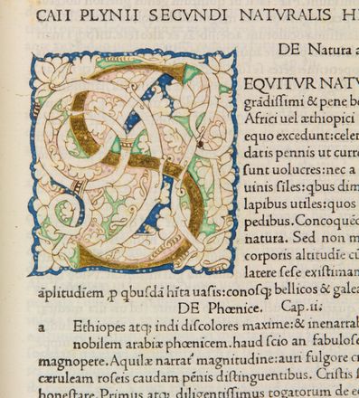  Plinius Secundus Gaius : Historia Naturalis. Incunabolo, Scienze naturali, Medicina, Zoologia, Astronomia, Botanica, Mineralogia, Arte, Letteratura, Collezionismo e Bibiografia, Scienze naturali, Scienze tecniche e matematiche, Scienze naturali, Scienze naturali  Ezio Giandotti  (1864 - 1936)  - Auction Manuscripts, Incunabula, Autographs and Printed Books - Libreria Antiquaria Gonnelli - Casa d'Aste - Gonnelli Casa d'Aste