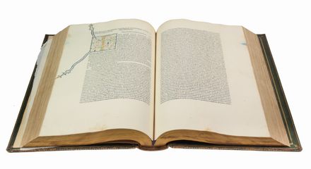  Plinius Secundus Gaius : Historia Naturalis.  Ezio Giandotti  (1864 - 1936)  - Asta Manoscritti, Incunaboli, Autografi e Libri a stampa - Libreria Antiquaria Gonnelli - Casa d'Aste - Gonnelli Casa d'Aste