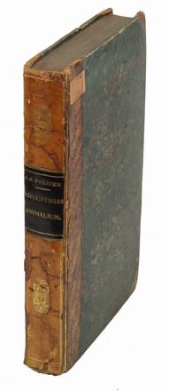  Forster Johann Reinhold : Descriptiones animalium quae in itinere ad maris australis terras per annos 1772 1773 et 1774 suscepto collegit observavit et delineavit... Scienze naturali, Zoologia, Scienze naturali  Hinrich Lichtenstein  - Auction Manuscripts, Incunabula, Autographs and Printed Books - Libreria Antiquaria Gonnelli - Casa d'Aste - Gonnelli Casa d'Aste
