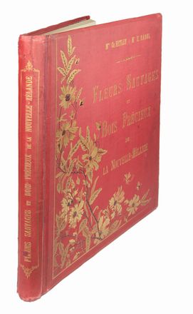  Hetley Charles : Fleurs sauvages et bois précieux de la Nouvelle-Zélande... Botanica, Geografia e viaggi, Scienze naturali  E. Raoul  - Auction Manuscripts, Incunabula, Autographs and Printed Books - Libreria Antiquaria Gonnelli - Casa d'Aste - Gonnelli Casa d'Aste