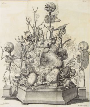  Ruysch Frederik : Thesaurus anatomicus primus. Cum figuris aeneis. (-sextus). Medicina, Anatomia, Medicina  Cornelius Huyberts  - Auction Manuscripts, Incunabula, Autographs and Printed Books - Libreria Antiquaria Gonnelli - Casa d'Aste - Gonnelli Casa d'Aste