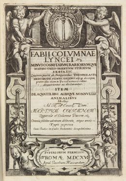  Colonna Fabio : Minus, cognitarum rarorumque nostro coelo orientium stirpiumekphrasis [...] item de aquatilibus aliisque nonnullis animalibus libellus.  - Asta Manoscritti, Incunaboli, Autografi e Libri a stampa - Libreria Antiquaria Gonnelli - Casa d'Aste - Gonnelli Casa d'Aste