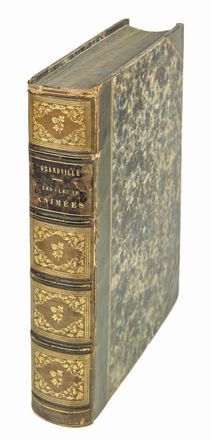  Grandville J.J. [pseud. di Gérard Jean Ignace Isidore] : Les fleurs animées [...], introduction par Alph. Karr, texte par Taxile Delord. Première partie (-deuxième). Letteratura francese  Alphonse Karr, Taxile Delord, Charles Michel Geoffroy  - Auction Manuscripts, Incunabula, Autographs and Printed Books - Libreria Antiquaria Gonnelli - Casa d'Aste - Gonnelli Casa d'Aste