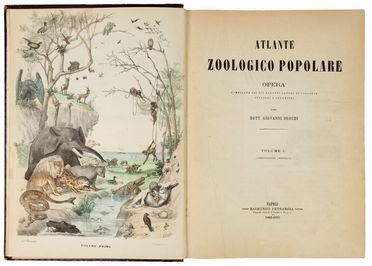  Boschi Giovanni : Atlante zoologico popolare. Opera compilata sui più recenti lavori di zoologia italiani e stranieri. Volume I (-VIII).  - Asta LIBRI, MANOSCRITTI, STAMPE E DISEGNI - Libreria Antiquaria Gonnelli - Casa d'Aste - Gonnelli Casa d'Aste