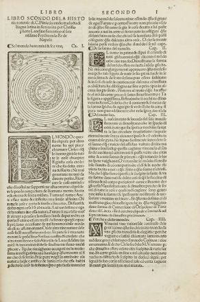  Plinius Secundus Gaius : De la Historia naturale: dal latino ne la volgar lingua per il dottissimo [...] Christoforo Landino fiorentino tradotta...  Cristoforo Landino  - Asta LIBRI, MANOSCRITTI, STAMPE E DISEGNI - Libreria Antiquaria Gonnelli - Casa d'Aste - Gonnelli Casa d'Aste