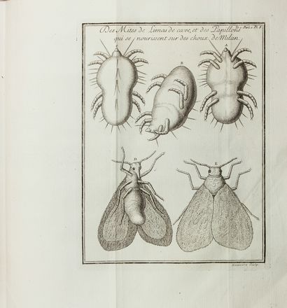  Joblot Louis : Observations d'histoire naturelle, faites avec le microscope, sur un grand nombre d'insectes, & sur les animalcules qui se trouvent dans les liqueurs [...]. Tome premier (-second).  Claude Lucas, Jean Baptiste Haussard  (1679 - 1749)  - Asta Manoscritti, Libri, Autografi, Stampe & Disegni - Libreria Antiquaria Gonnelli - Casa d'Aste - Gonnelli Casa d'Aste