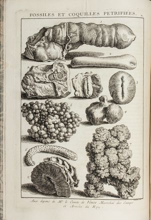  Dézallier D'Argenville Antoine Joseph : L'Histoire naturelle éclaircie dans une de ses parties principales, l'oryctologie, qui traite des terres, des pierres, des métaux, des minéraux, et autres fossiles...  Hyacinthe Collin de Vermont  (Versailles, 1693 - 1761), Quentin Pierre Chedel  (1705 - 1762)  - Asta Manoscritti, Libri, Autografi, Stampe & Disegni - Libreria Antiquaria Gonnelli - Casa d'Aste - Gonnelli Casa d'Aste