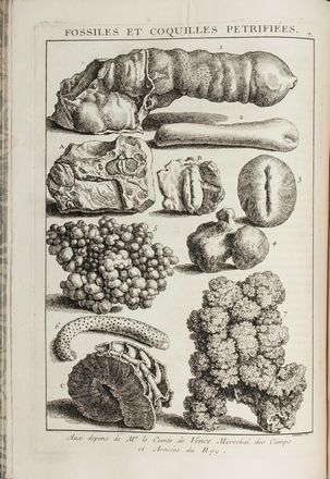  Dzallier D'Argenville Antoine Joseph : L'Histoire naturelle éclaircie dans une de ses parties principales, l'oryctologie, qui traite des terres, des pierres, des métaux, des minéraux, et autres fossiles...  Hyacinthe Collin de Vermont  (Versailles, 1693 - 1761), Quentin Pierre Chedel  (1705 - 1762)  - Asta Manoscritti, Libri, Autografi, Stampe & Disegni - Libreria Antiquaria Gonnelli - Casa d'Aste - Gonnelli Casa d'Aste