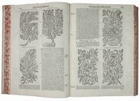 I discorsi [...] ne i sei libri della materia medicinale di Pedacio Dioscoride Anazarbeo [...]. Con le Figure tirate dalle naturali, & vive piante, & Animali, in numero molto maggiore...