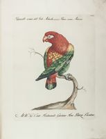 Storia naturale degli uccelli trattata con metodo [...]. Tomo primo.