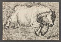 Cavallo al galoppo. (Da Segantini).