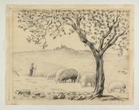 Paesaggio con pecore e sullo sfondo S. Gimignano.
